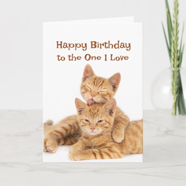Carte Joyeux Anniversaire à celui que j'aime Cute Orange (Devant)
