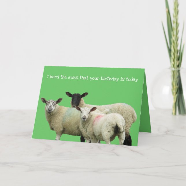 Carte Joyeux anniversaire à Ewe (Devant)