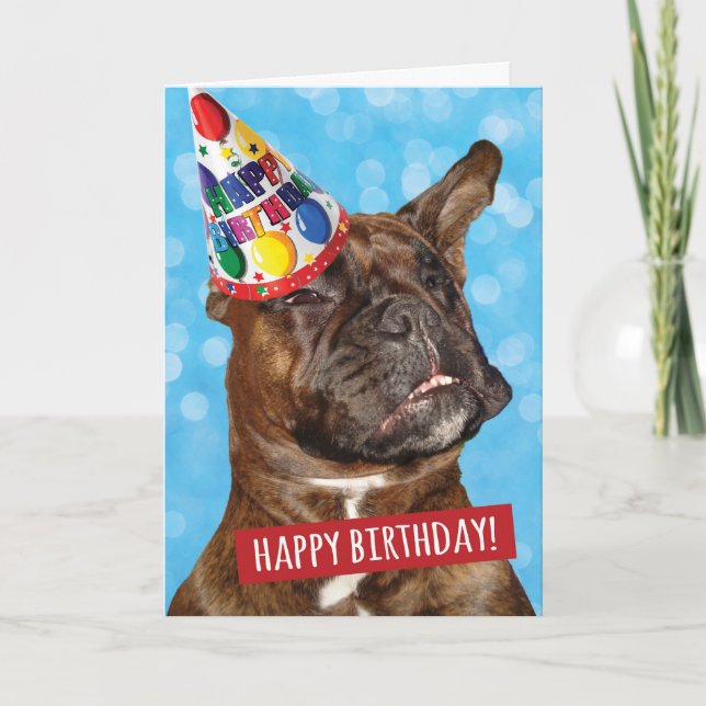 Carte Joyeux anniversaire à la fête animal Boxer Chien (Devant)