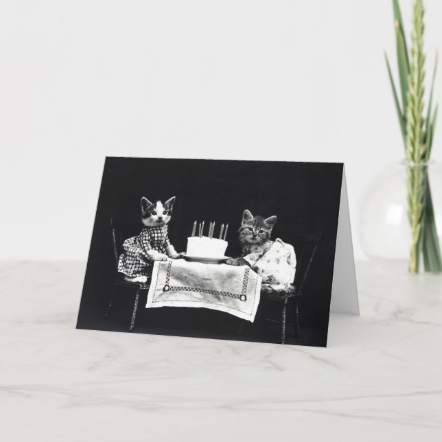 Carte Joyeux anniversaire à Meow | Kitties avec gâteau (Devant)
