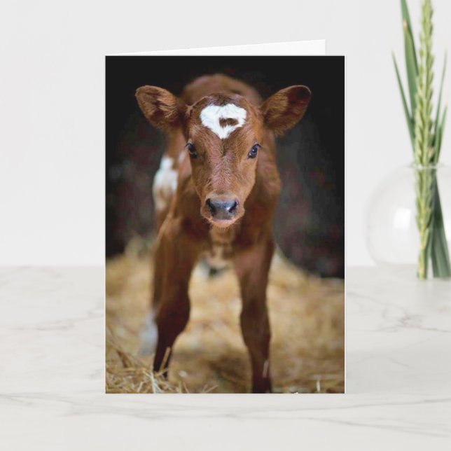 Carte "JOYEUX ANNIVERSAIRE" à mon **FRÈRE** (Devant)