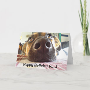 Carte Joyeux anniversaire à One ILove mignon chien