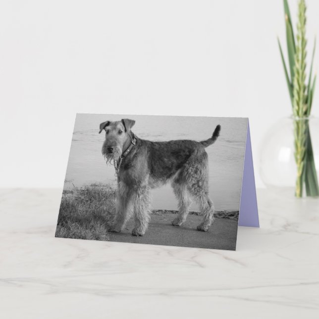 Carte Joyeux Anniversaire Airedale Terrier Chien Chien P (Devant)