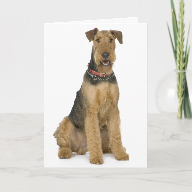 Carte Joyeux anniversaire Airedale Terrier Puppy Dog Car (Devant)
