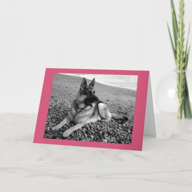 Carte Joyeux Anniversaire Allemand Berger Chien Chien Pu (Devant)