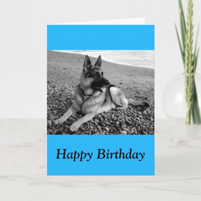 Carte Joyeux Anniversaire Allemand Berger Chien Chien Pu (Devant)