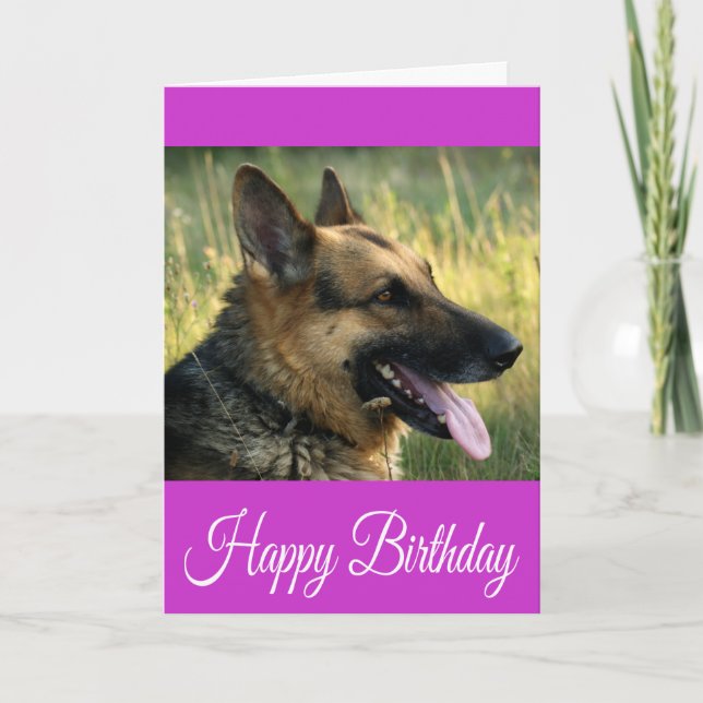 Carte Joyeux Anniversaire Allemand Berger Chien Chien Pu (Devant)