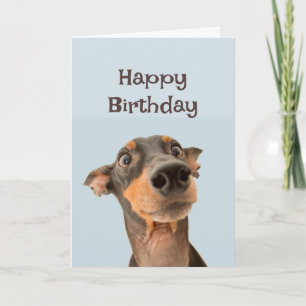 Carte Joyeux Anniversaire Ami Drôle Chien Grumpy Vieux H