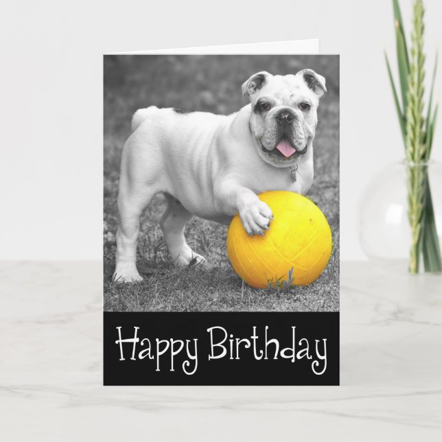 Carte Joyeux anniversaire anglais Chien chiot (Devant)