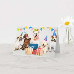 Carte Joyeux Anniversaire Animaux de fêtes sauvages