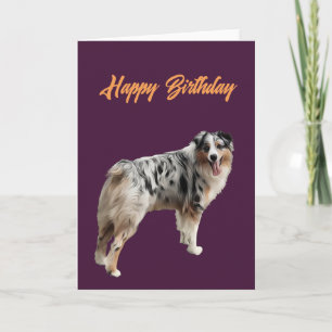 Carte Joyeux anniversaire beau berger australien