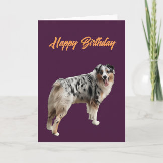 Carte Joyeux anniversaire beau berger australien