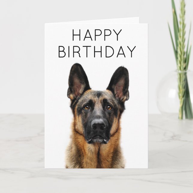 Carte Joyeux Anniversaire | Berger Allemand (Devant)