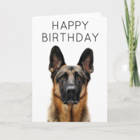 Joyeux Anniversaire | Berger Allemand
