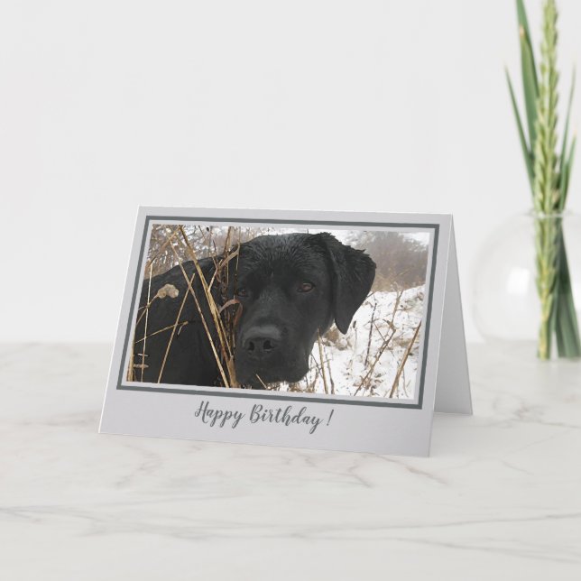 Carte Joyeux Anniversaire Black Lab - Chien de chasse de (Devant)