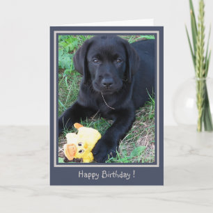 Carte Joyeux Anniversaire Black Lab Cute Chien Chien Chi