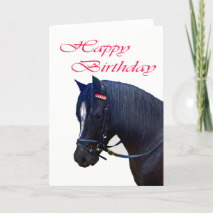 Carte Joyeux anniversaire, Black Welsh Pony.