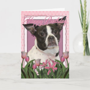 Carte Joyeux anniversaire - Boston et Rat terrier - Jazy