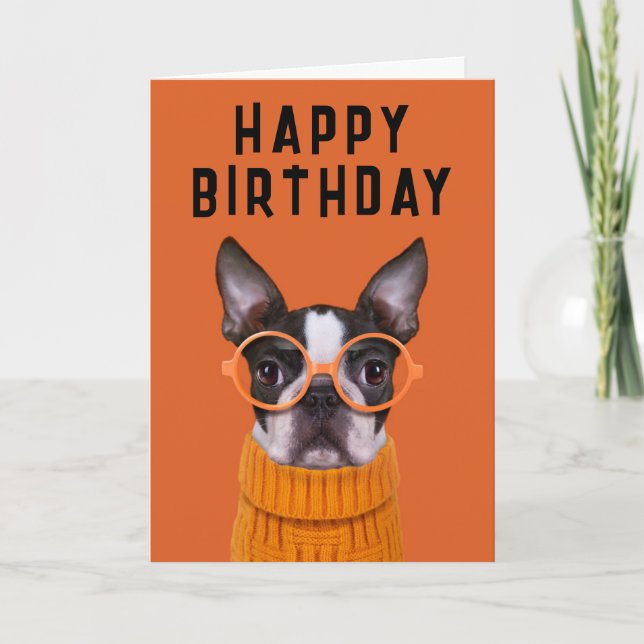 Carte Joyeux Anniversaire | Boston Terrier Orange (Devant)