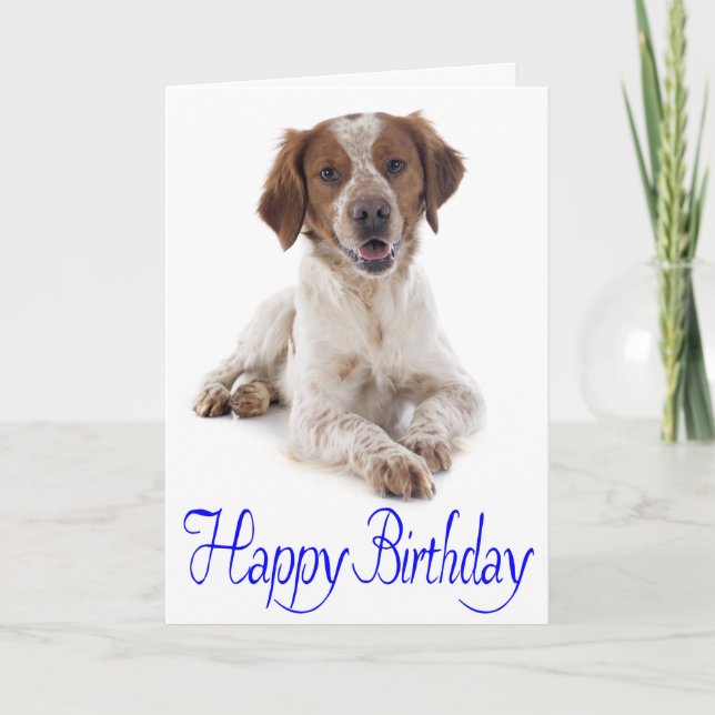 Carte Joyeux Anniversaire Brittany Spaniel Puppy Dog Car (Devant)