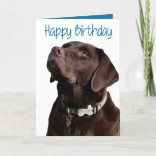 Carte Joyeux anniversaire Brown Labrador Retriever Puppy