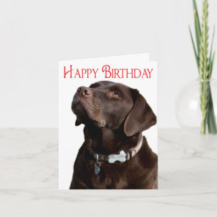 Carte Joyeux anniversaire Brown Labrador Retriever Puppy