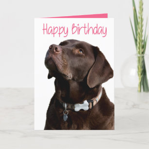 Carte Joyeux anniversaire Brown Labrador Retriever Puppy