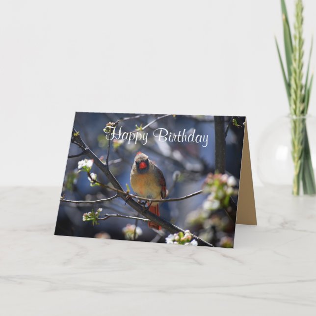 Carte Joyeux Anniversaire Cardinal Féminin dans l'arbre  (Devant)