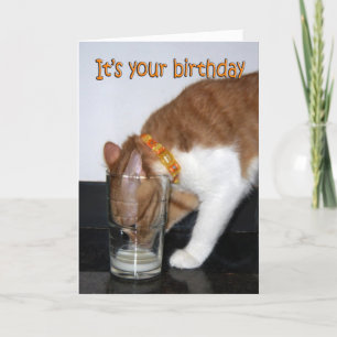 Carte Joyeux Anniversaire Chat Buvant dans un Verr