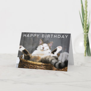 Carte Joyeux anniversaire   Chat dans le lit