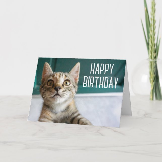 Carte Joyeux Anniversaire | Chat Tabby Mignon (Devant)