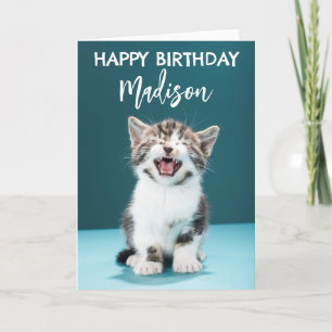 Carte Joyeux Anniversaire   Chaton bébé qui miaule