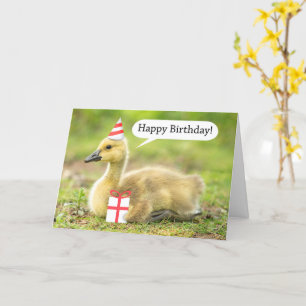 Carte Joyeux anniversaire Chaud et Fuzzy Humour Gosling
