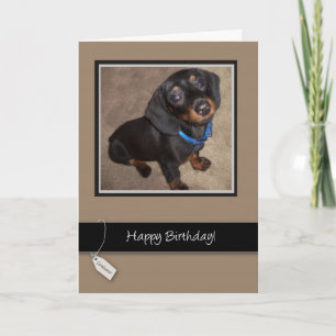 Carte Joyeux anniversaire, chien, Dachshund