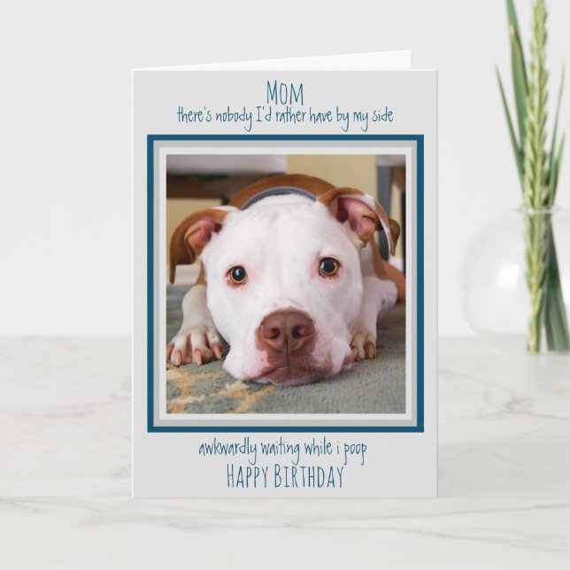 Carte Joyeux Anniversaire Chien Maman Drôle Mignonne Chi (Devant)