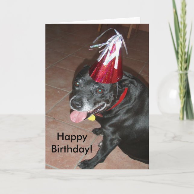 Carte Joyeux Anniversaire Chien noir avec Casquette roug (Devant)