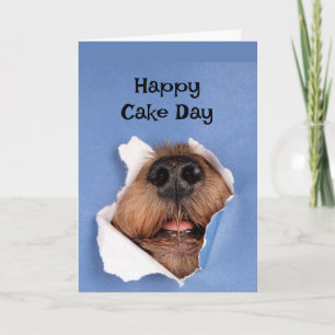 Carte Joyeux Anniversaire Chien sentant Cake Animal Fun
