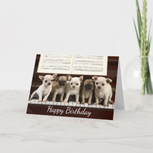 Carte Joyeux anniversaire Chihuahua Chiot Chiot ( Che
