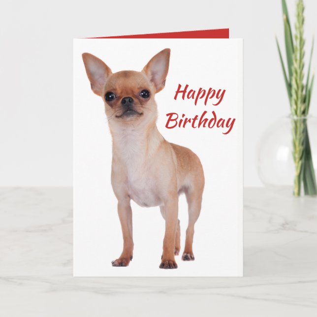 Carte Joyeux anniversaire Chihuahua Chiot Chiot Chiots C (Devant)