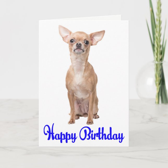 Carte Joyeux anniversaire Chihuahua Chiuppy Blue Verse (Devant)