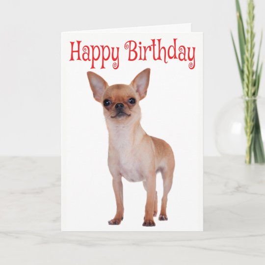 Carte Joyeux Anniversaire Chihuahua Chiuppy Red Verse Zazzle Ch