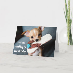 Carte Joyeux Anniversaire Chiot Chihuahua Mignon de Chie