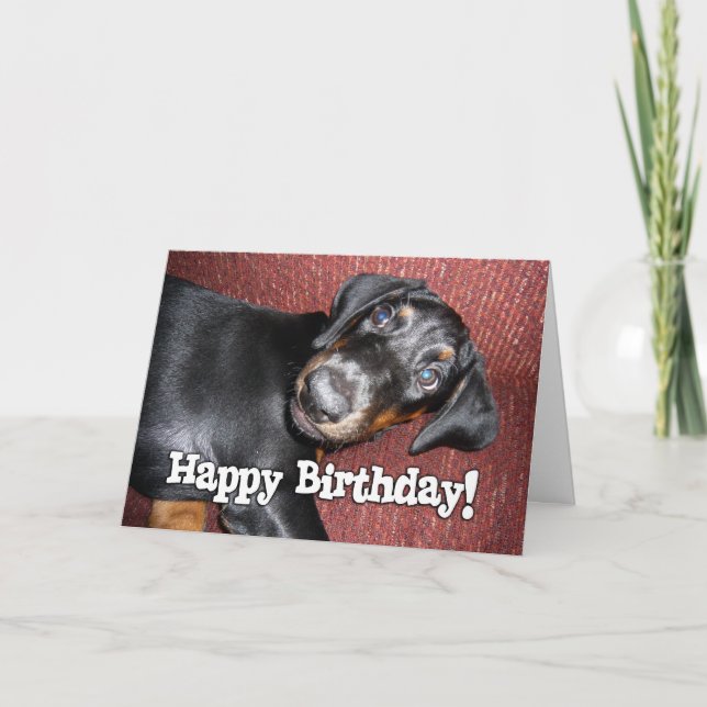 Carte Joyeux anniversaire - chiot de Pinscher de (Devant)