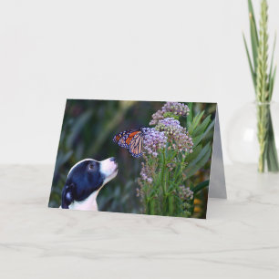 Carte Joyeux Anniversaire Chiot et Papillon Super mignon