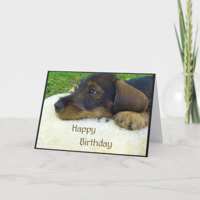 Carte Joyeux anniversaire, chiot mignon de teckel (Devant)