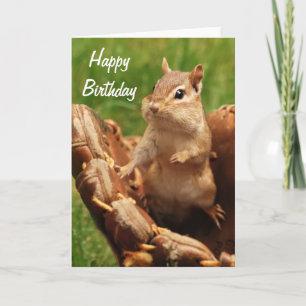 Carte Joyeux Anniversaire Chipmunk Jouant Au Baseball