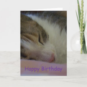 Carte Joyeux Anniversaire Christian Card Chat