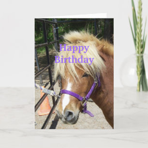 Carte Joyeux Anniversaire Christian Card Pony