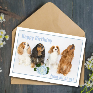 Carte Joyeux Anniversaire Collègue Cavalier King Charles