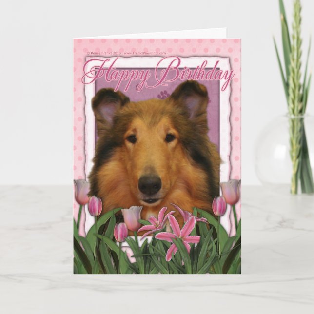 Carte Joyeux anniversaire - colley - Natalie (Devant)